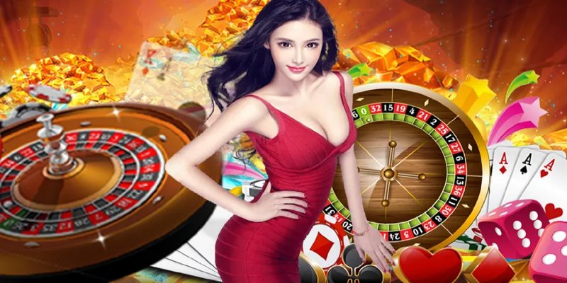 Chất lượng hỗ trợ khách hàng
