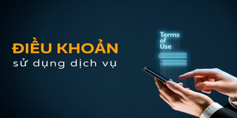 Điều khoản sử dụng đóng vai trò then chốt
