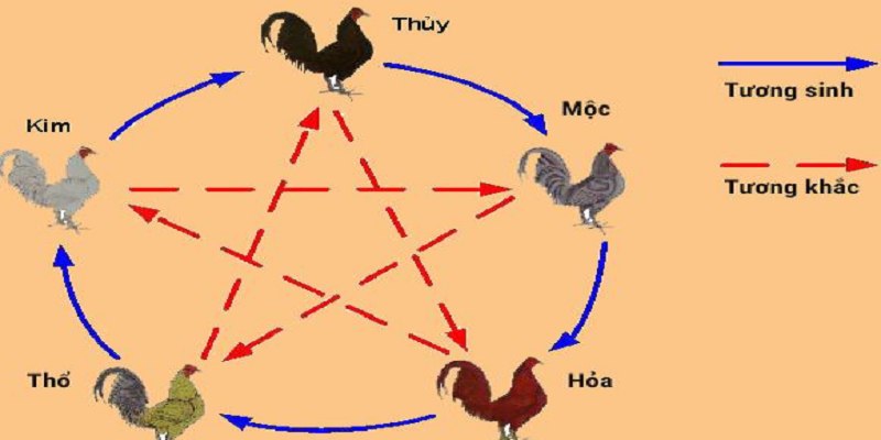 Tầm quan trọng của màu mạng đá gà 28BET