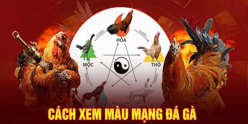 Tìm hiểu cách xem màu mạng đá gà theo mệnh Mộc